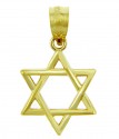 Jewish Charms and Pendants - 14K Yellow Gold Star of David Pendant - The Magen David